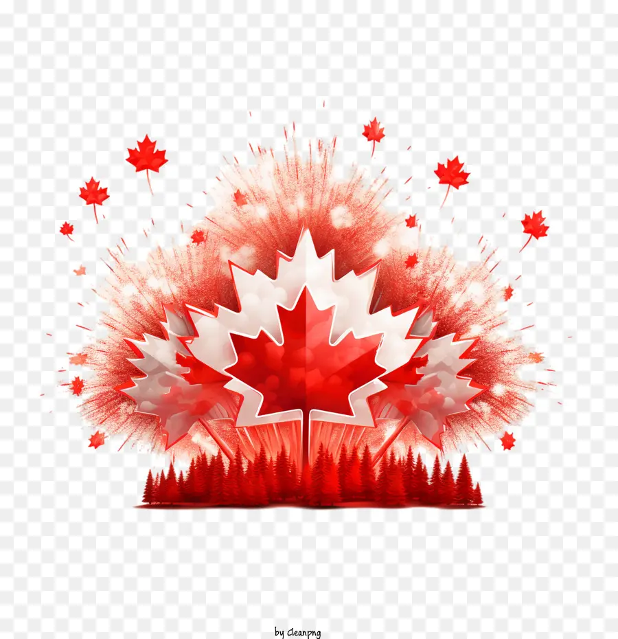 El Día De Canadá，Fuegos Artificiales PNG