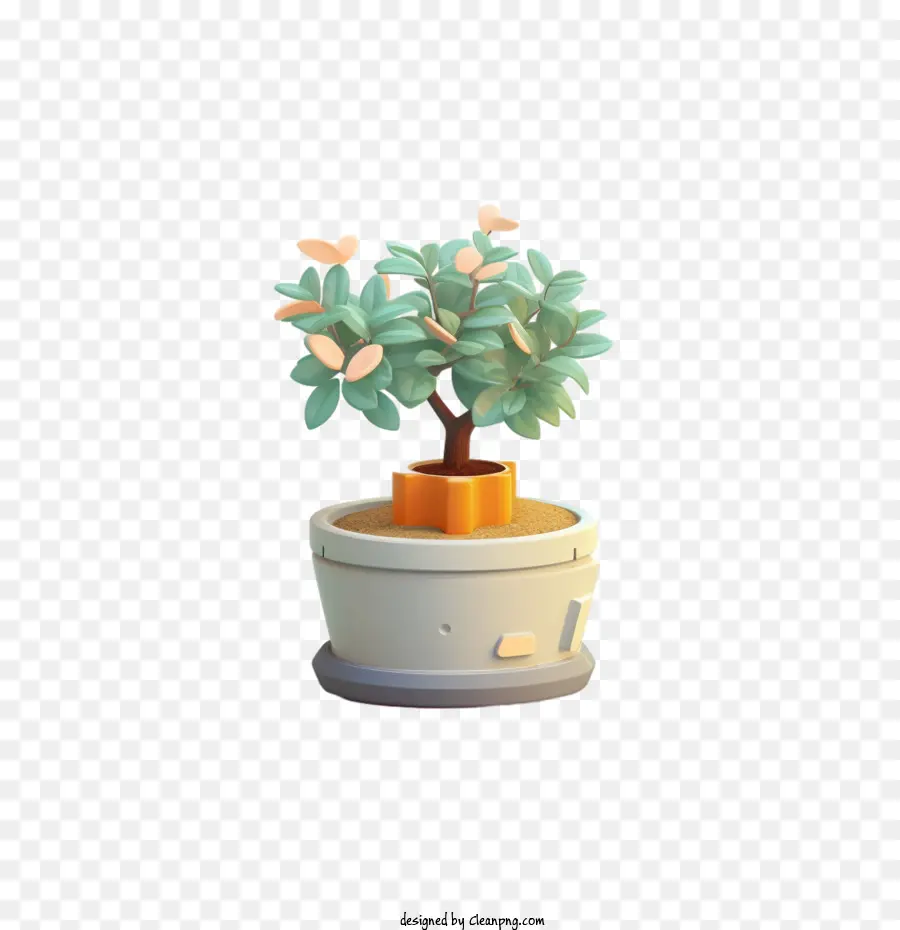 Planta De Ti，Planta PNG