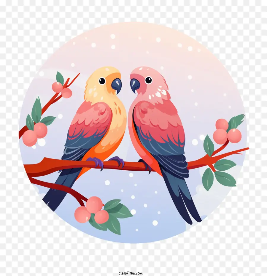 El Amor De Los Pájaros，Loro PNG