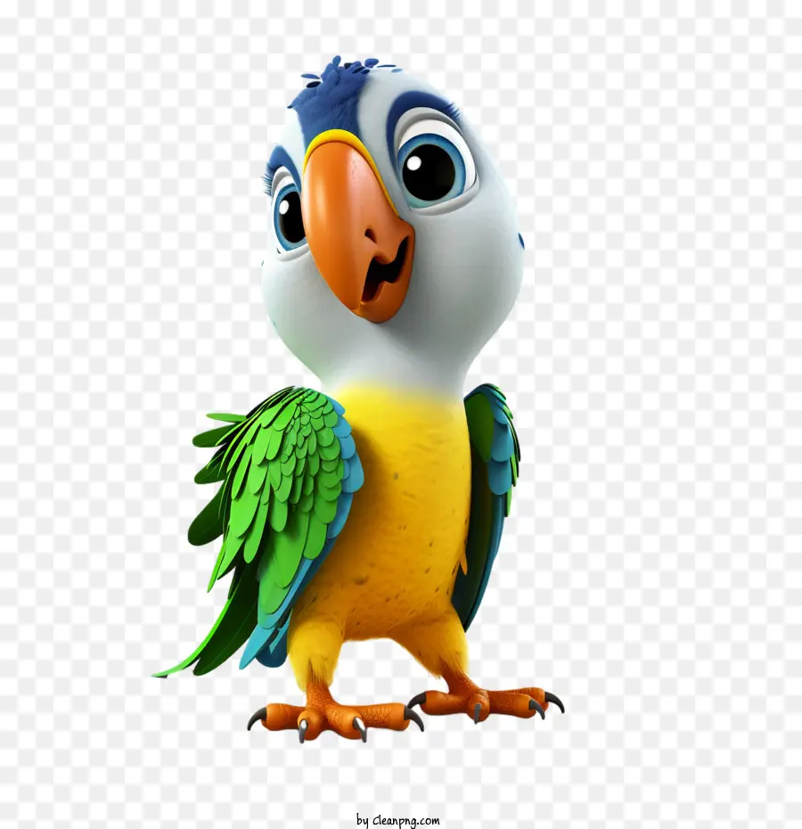 Loro，Brasil PNG