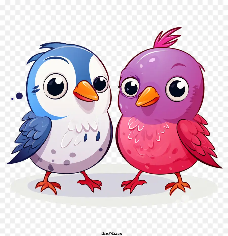 Pájaros Del Amor，Pájaros De Dibujos Animados PNG