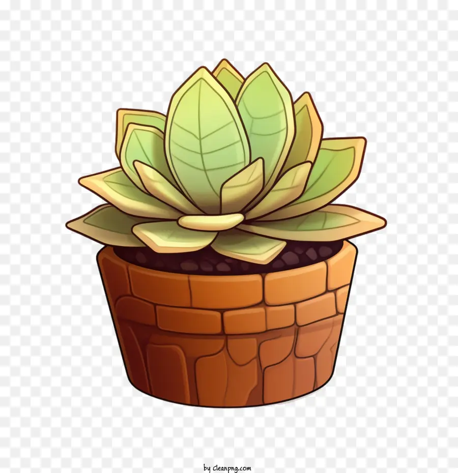 Suculento De Cuero，Imagen De Una Planta En Una Maceta PNG