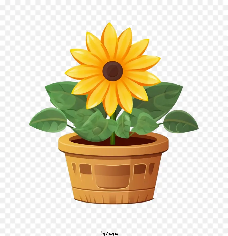 Girasol，Maceta PNG