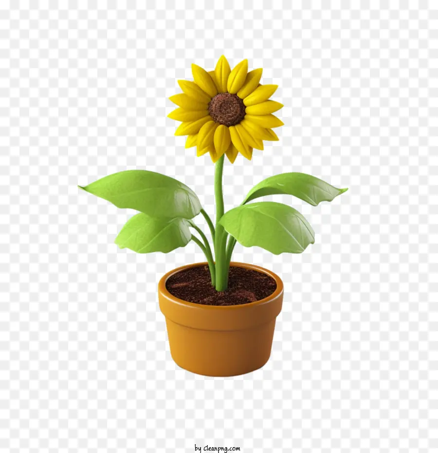 Girasol，Maceta PNG