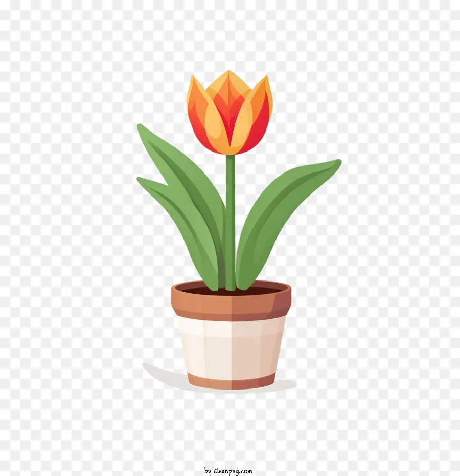 Flor De Tulipán，Maceta PNG