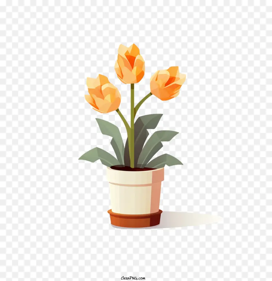 Flor De Tulipán，Maceta De Flores PNG