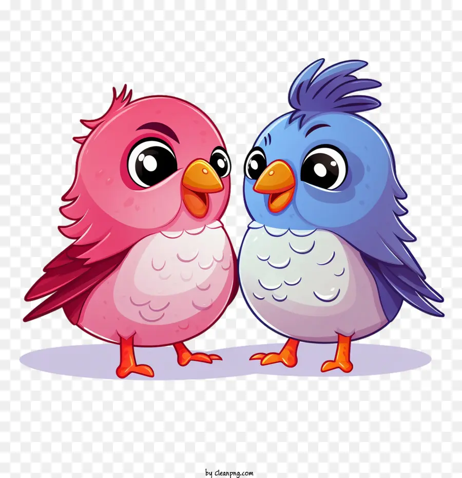 Pájaros Del Amor，Aves PNG