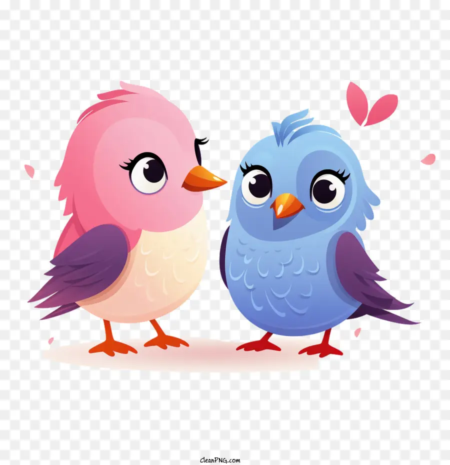 El Amor De Los Pájaros，Lindo PNG