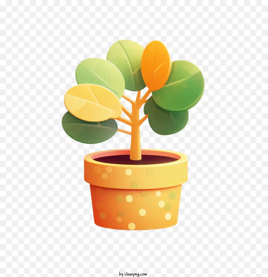 Planta De Caucho，árbol PNG