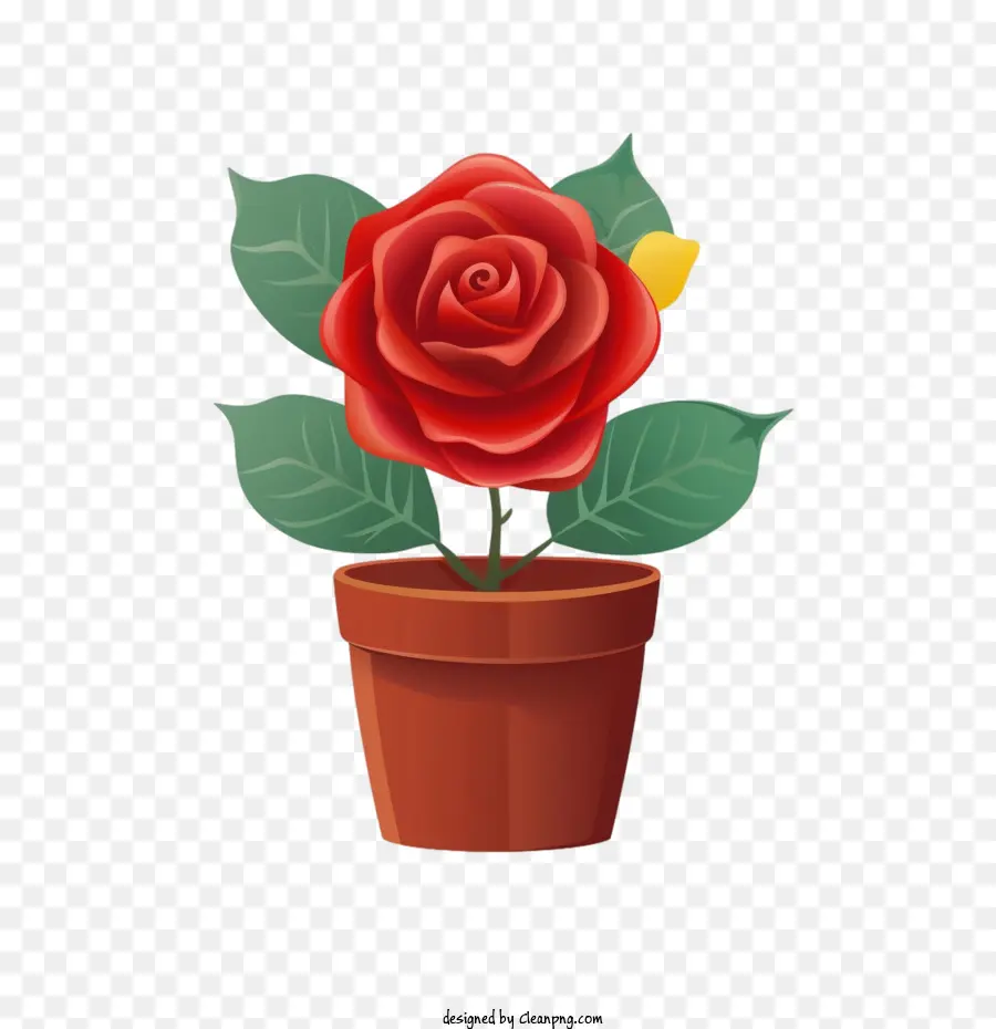 Rosa Roja，Maceta PNG