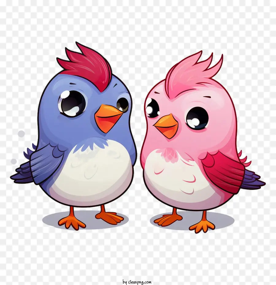 Pájaros Del Amor，Lindos Pájaros PNG