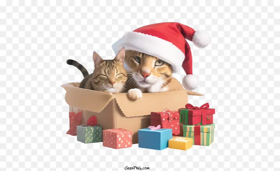 Navidad，Caja De Regalo PNG