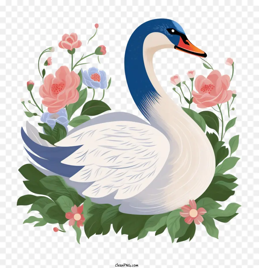 Swan，Blanco PNG