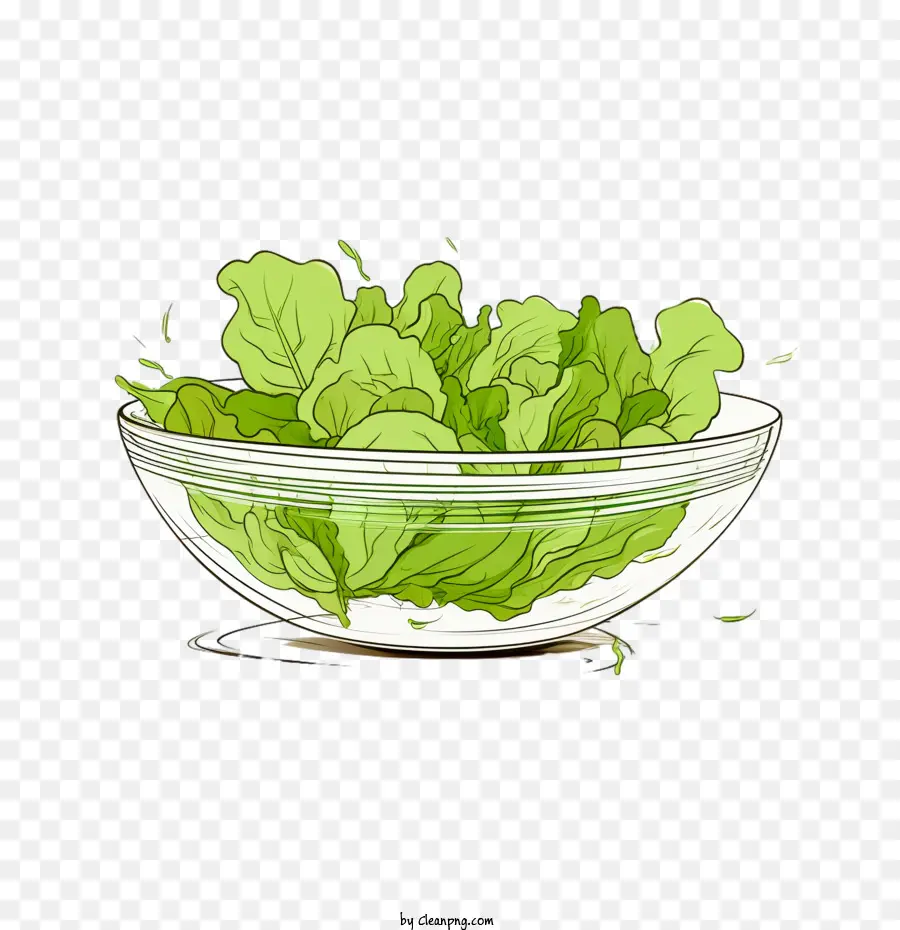 Ensalada Verde，Ensalada Dibujada A Mano PNG