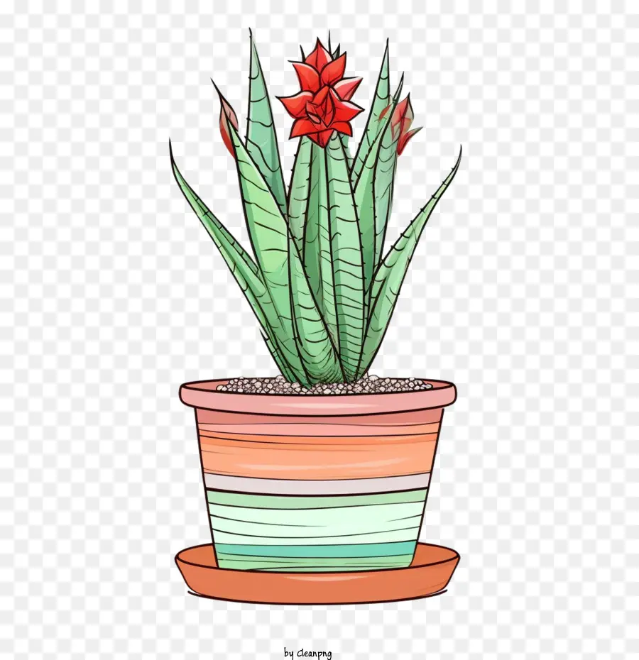 Aloe Vera，Planta PNG