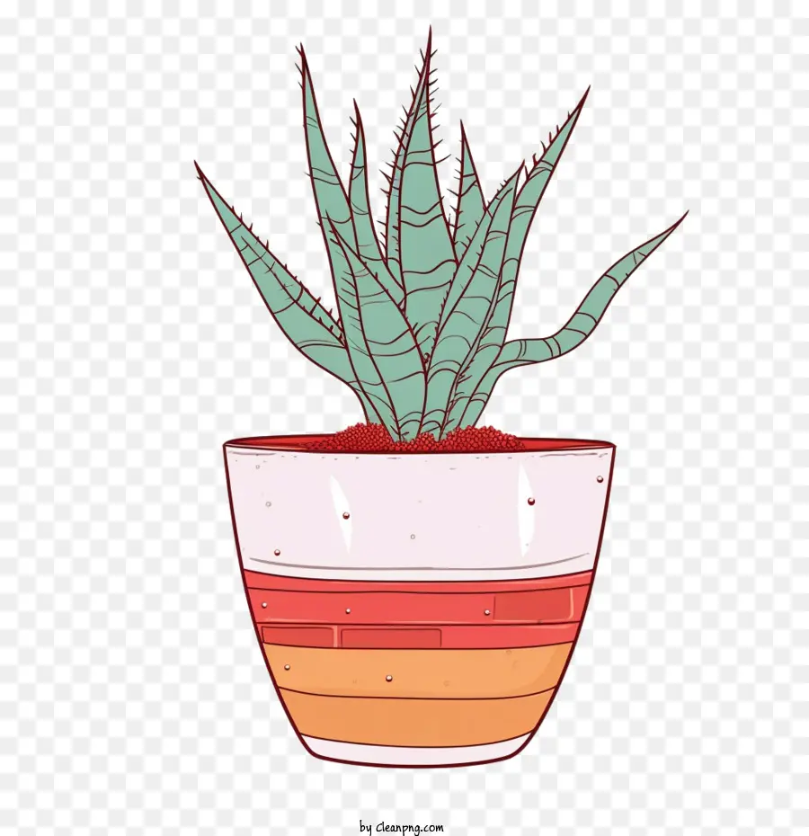 Aloe Vera，Cactus PNG