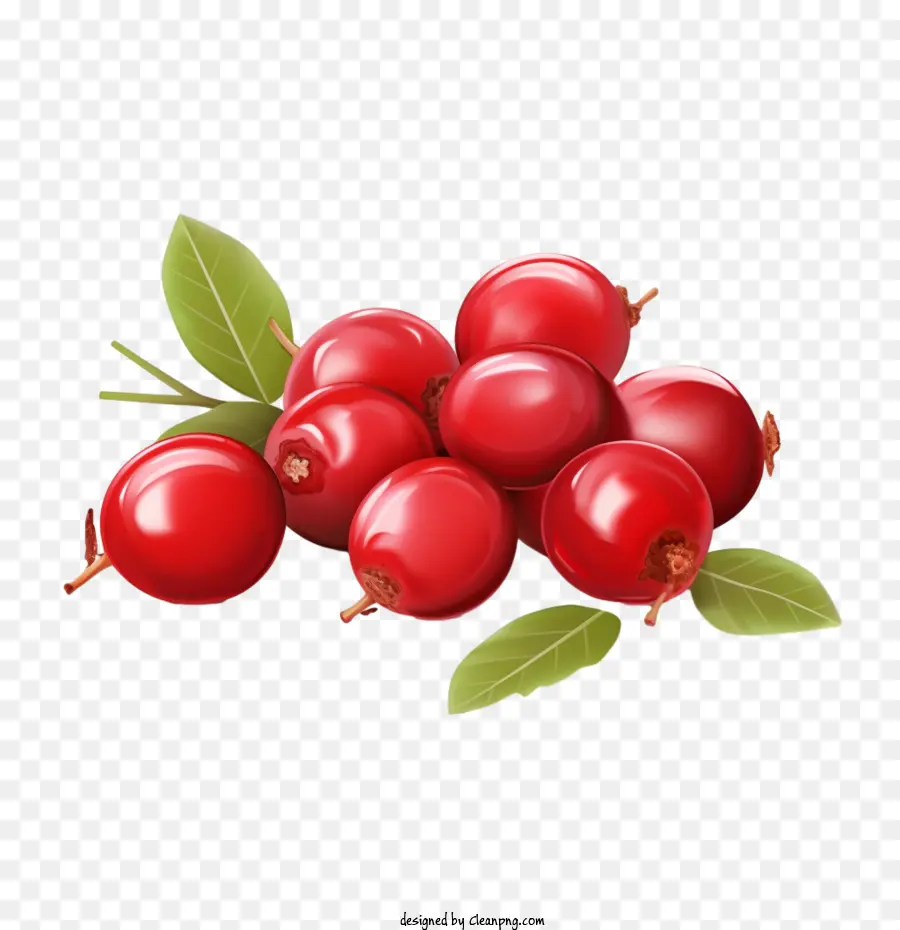 Cranberries，Cerezas PNG