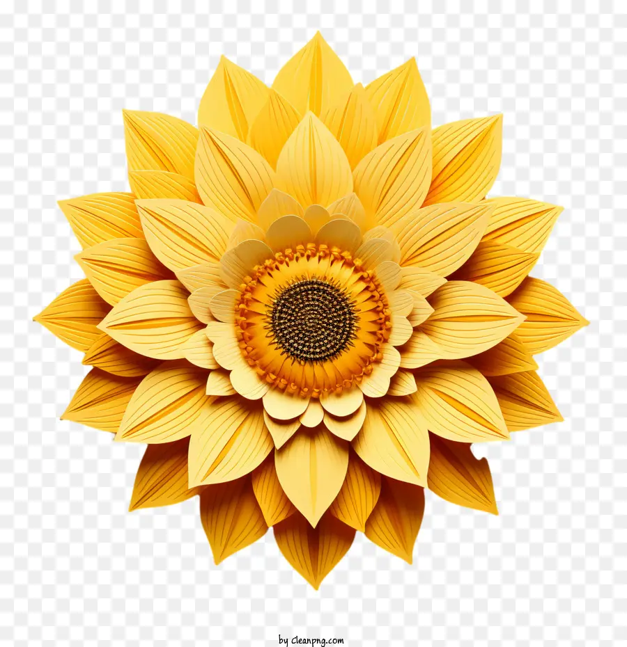 Día Nacional De Girasol，Girasol PNG