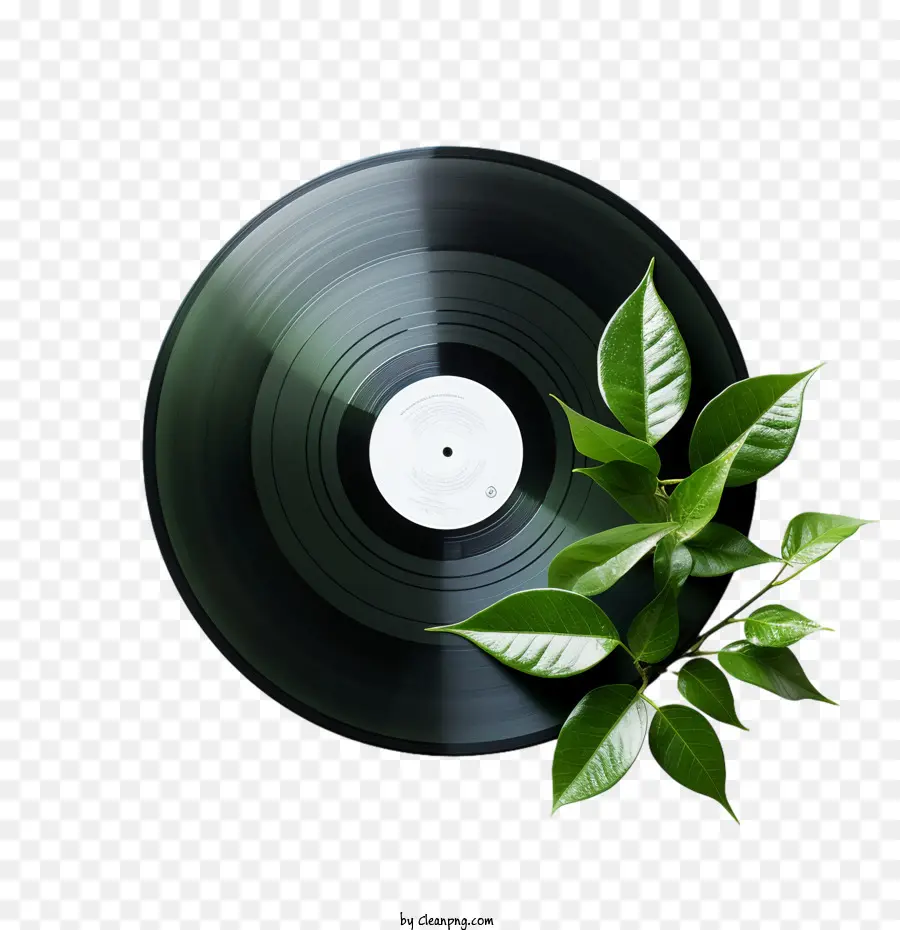 Día Del Récord Nacional De Vinilo，La Música PNG