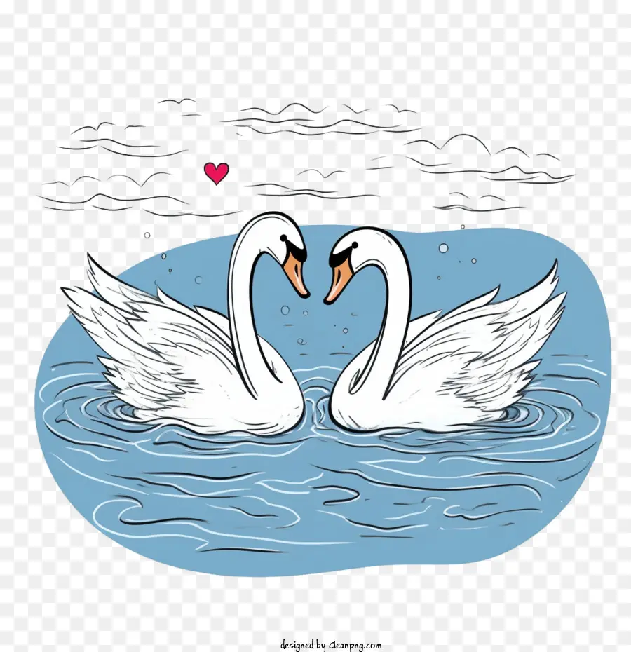 Cisne，Cisnes PNG