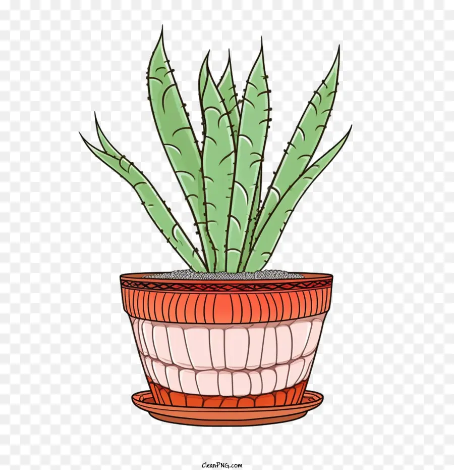 Aloe Vera，Planta PNG