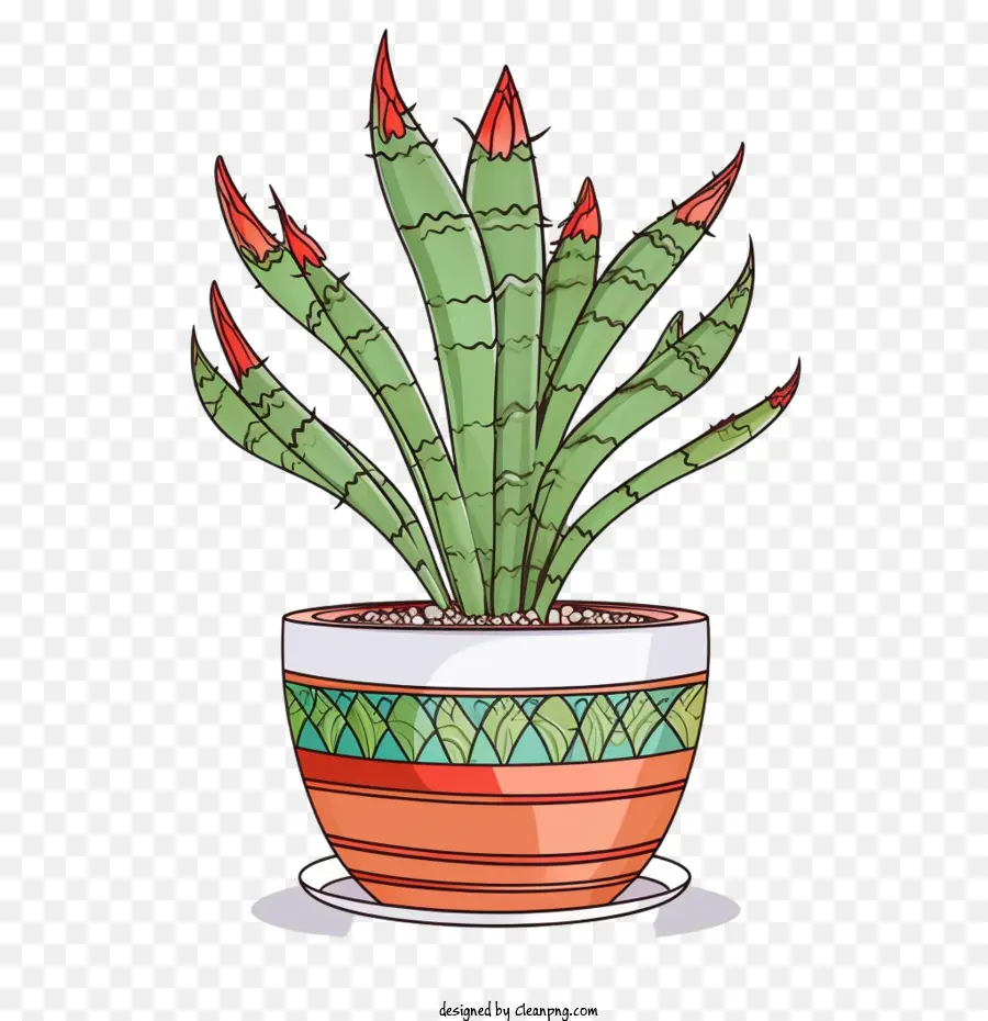 Aloe Vera，Planta PNG