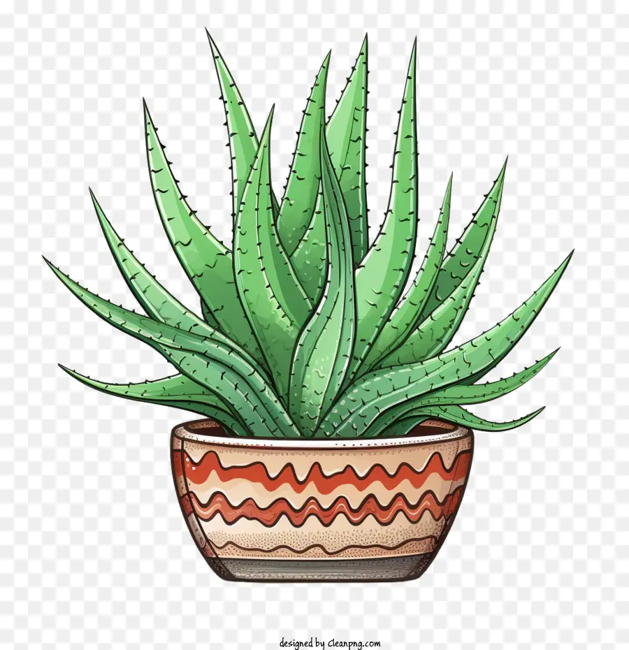 Aloe Vera，Planta PNG