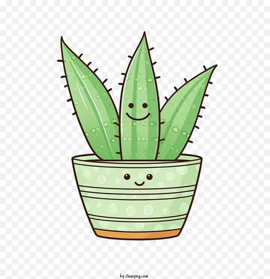 Aloe Vera，Planta PNG