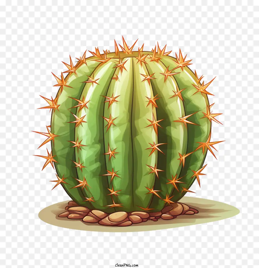 Cactus，Verde PNG