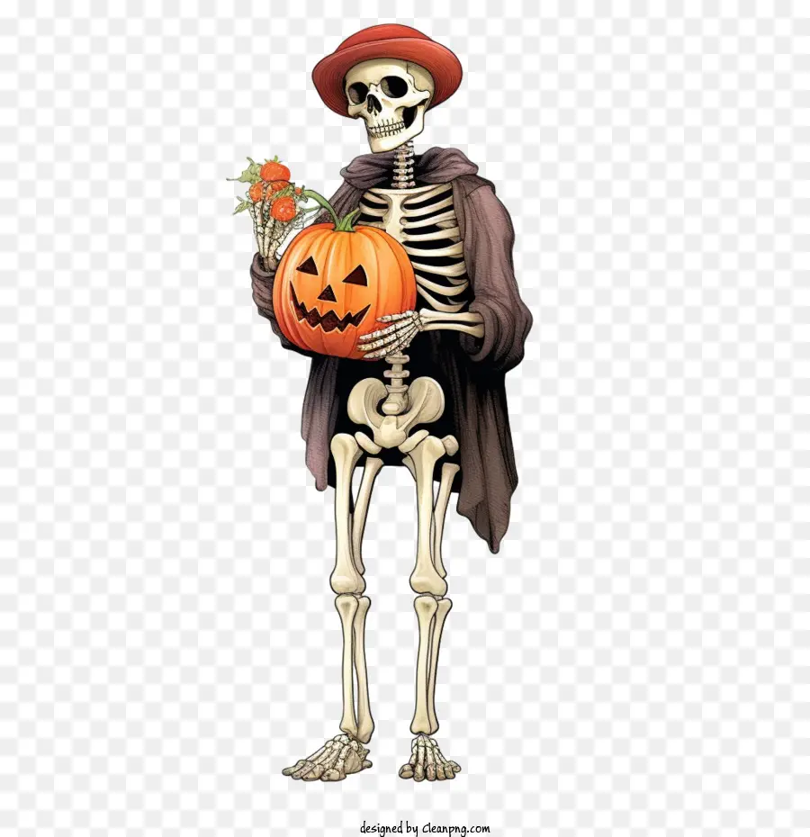 Halloween Esqueleto， PNG