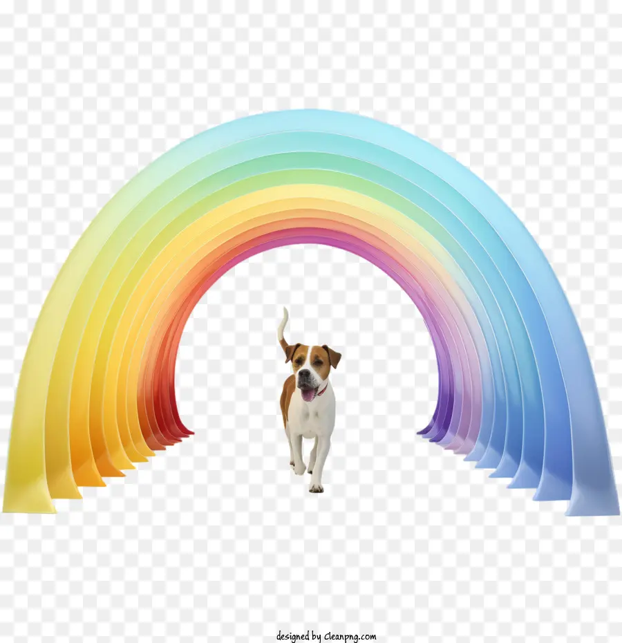 Día Del Remembrance Del Puente Rainbow，Perro PNG