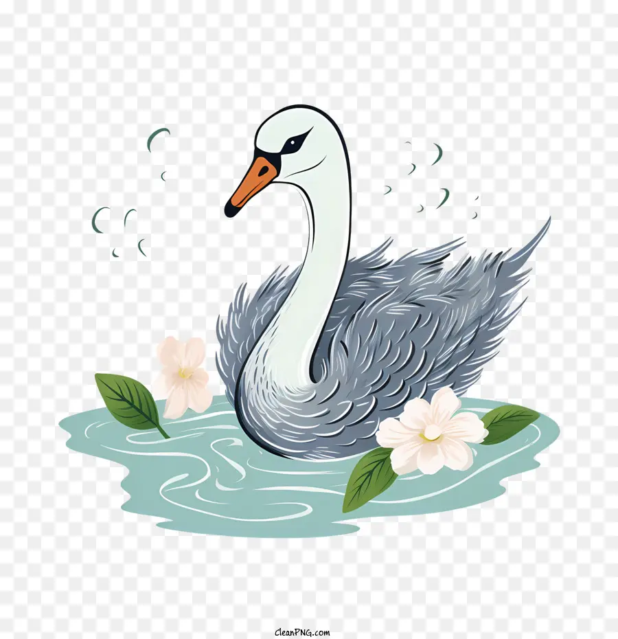 Swan，Agua PNG