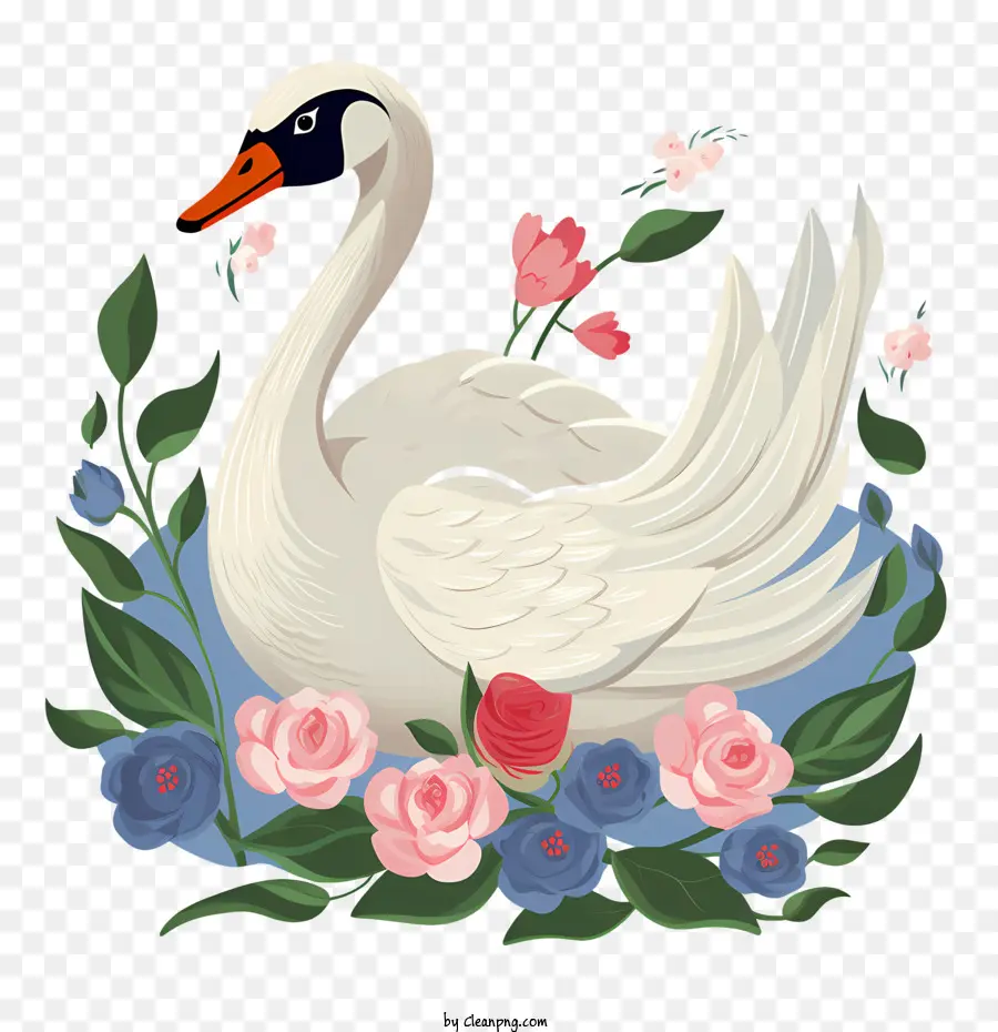 Swan，Cisne Blanco PNG