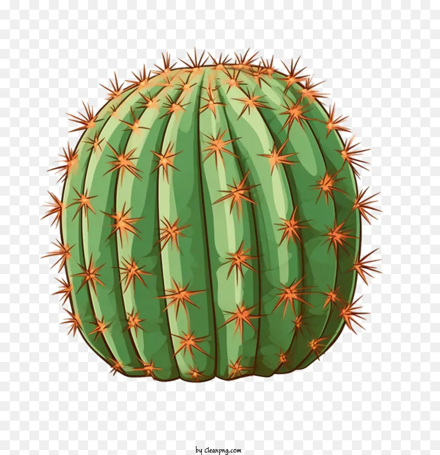 Suculentas，Cactus PNG