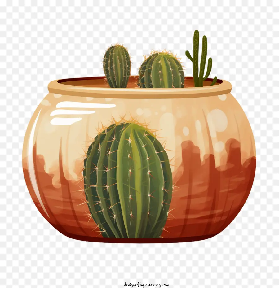 Suculentas，Cactus PNG