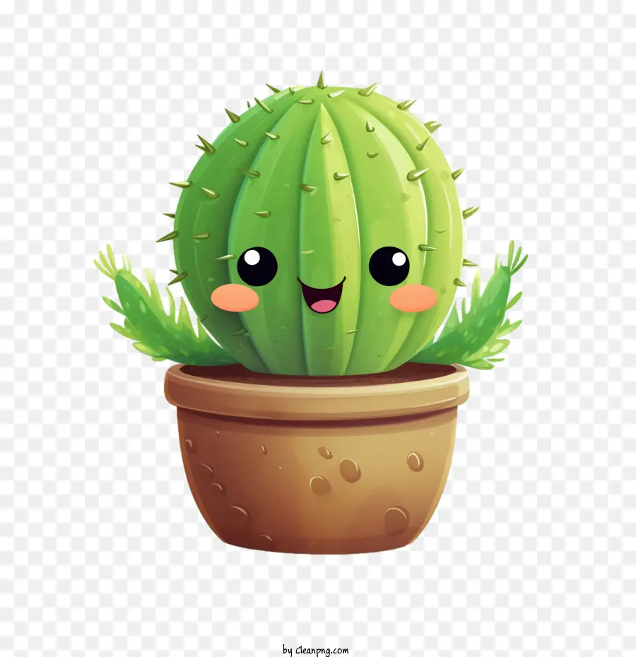 Suculento，Cactus PNG