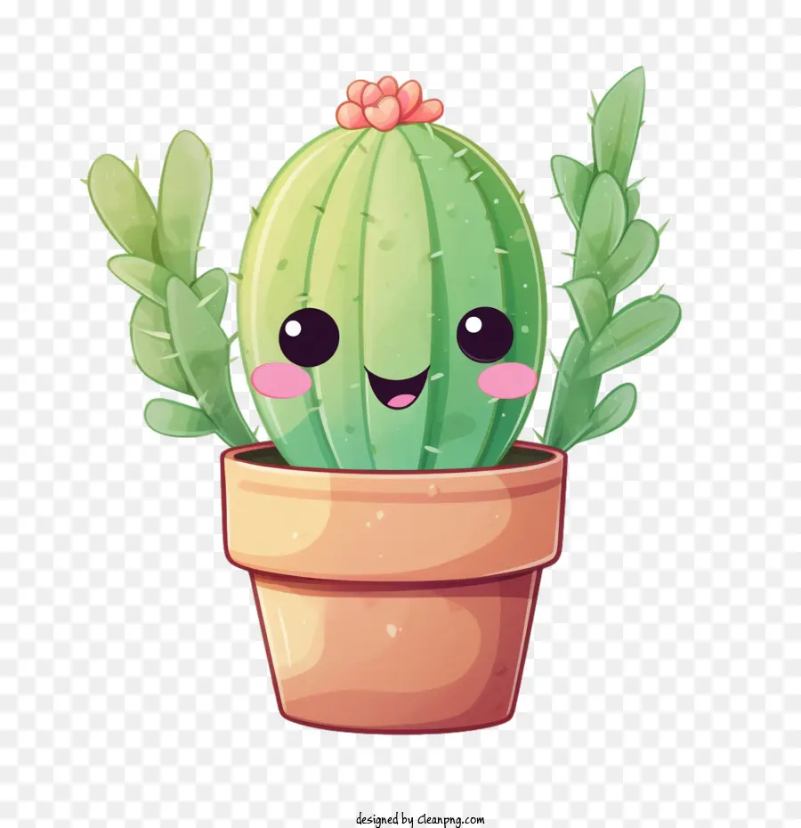 Suculento，Cactus PNG