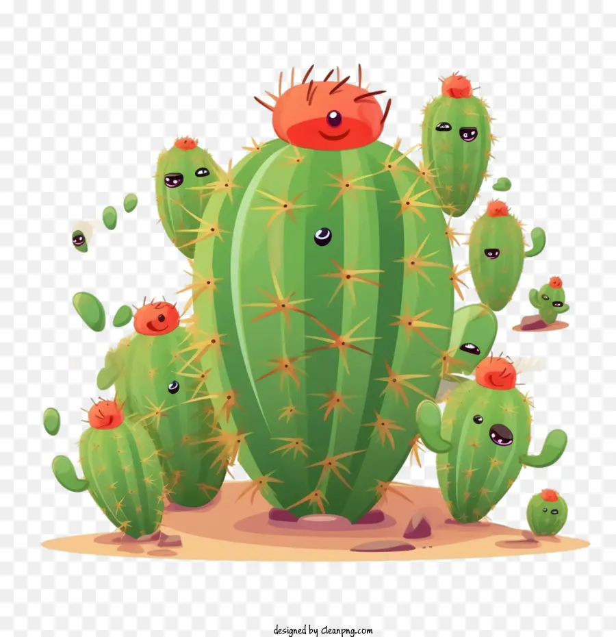 Suculento，Familia De Cactus PNG