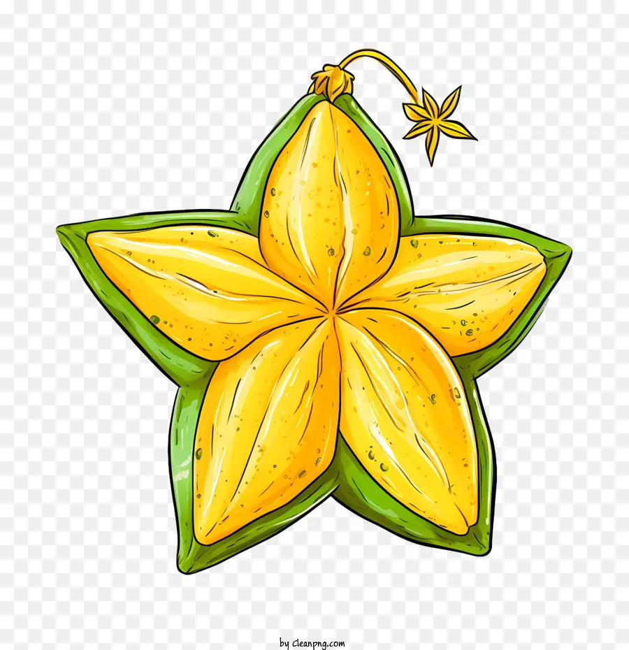 La Carambola，Estrella PNG