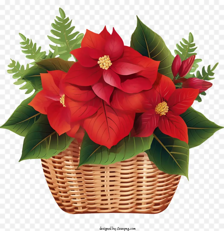 La Flor De Pascua，Canasta De Navidad PNG