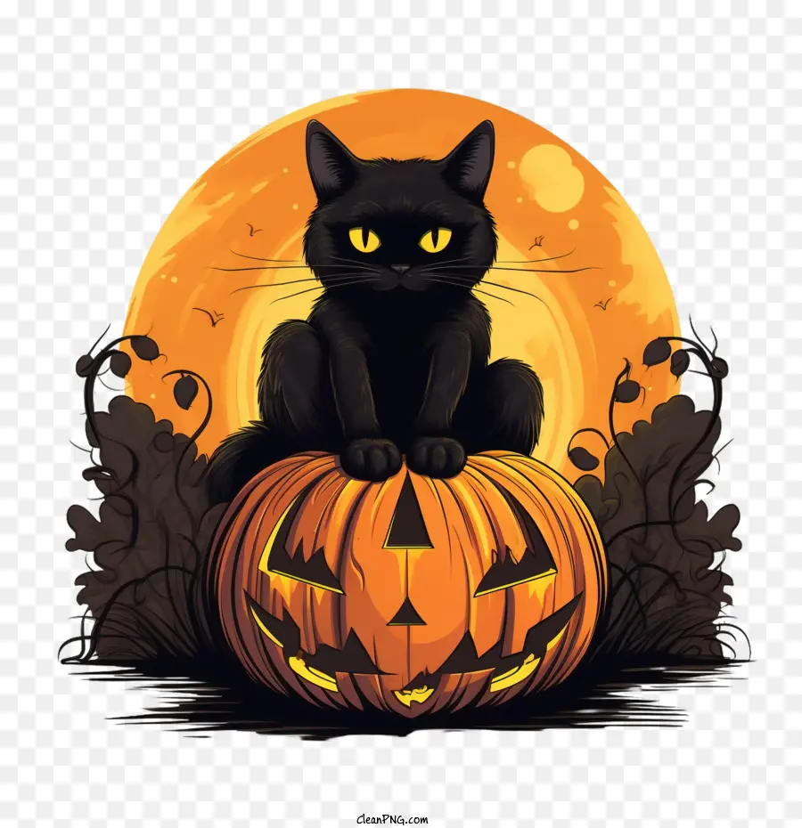 Halloween，Gato Negro PNG