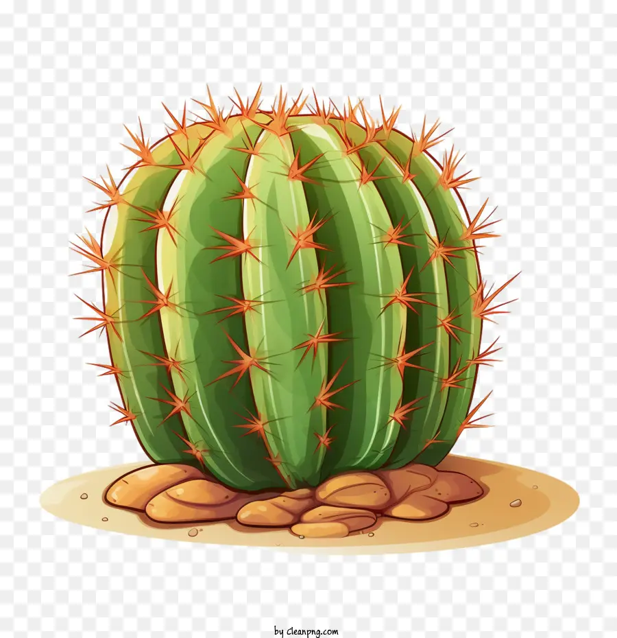 Suculentas，Cactus PNG