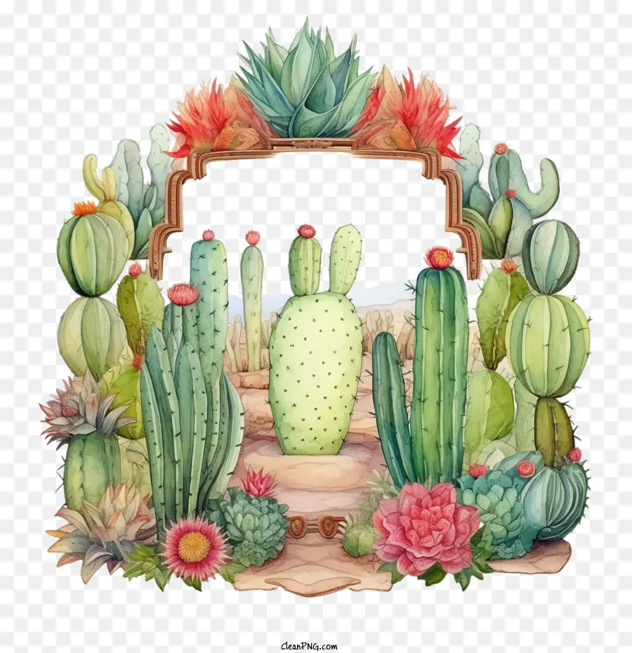 Suculento，Cactus PNG