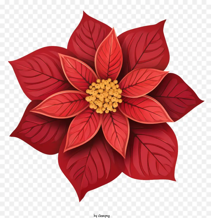 La Flor De Pascua，Decoración Navideña PNG