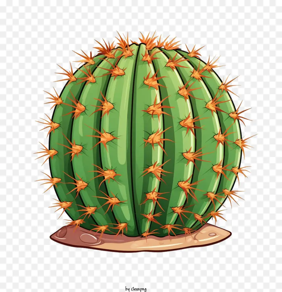 Suculentas，Cactus PNG