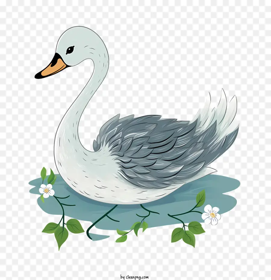 Swan，Agua PNG