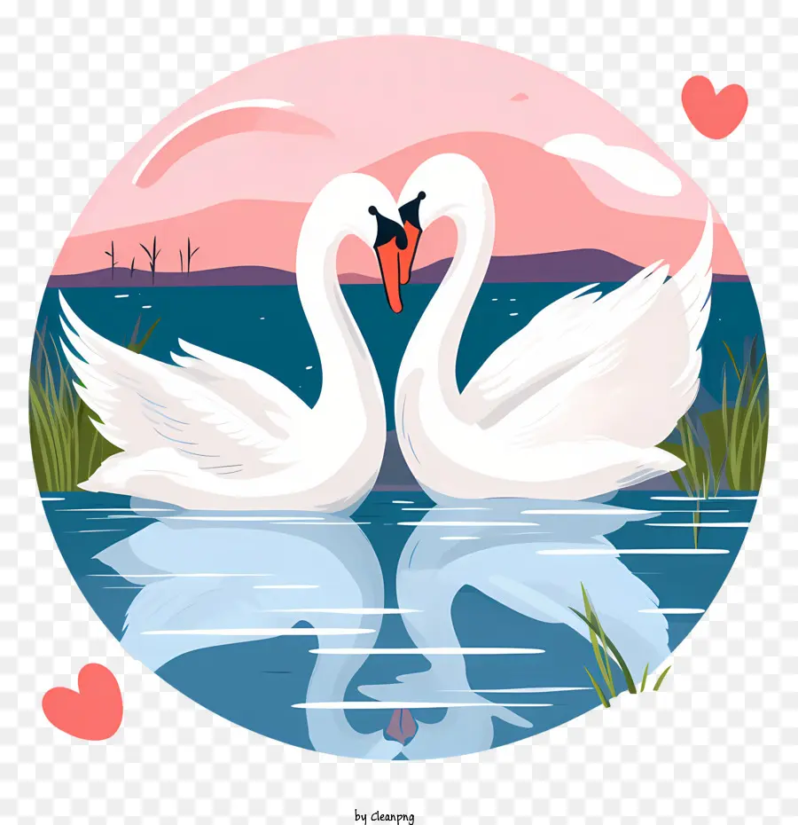 Cisne，Cisnes Enamorados PNG