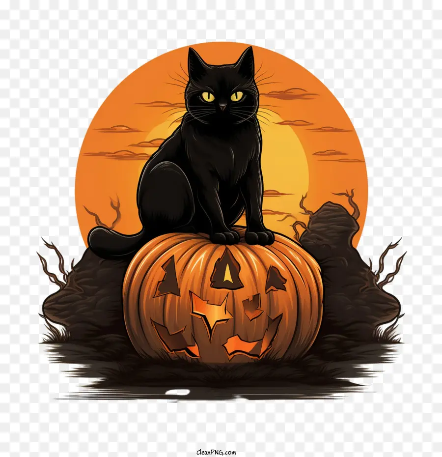 Halloween，Gato Negro PNG