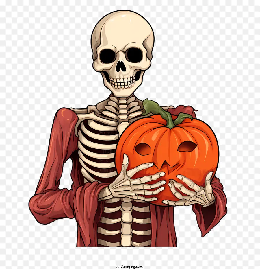 Halloween Esqueleto，Esqueleto PNG