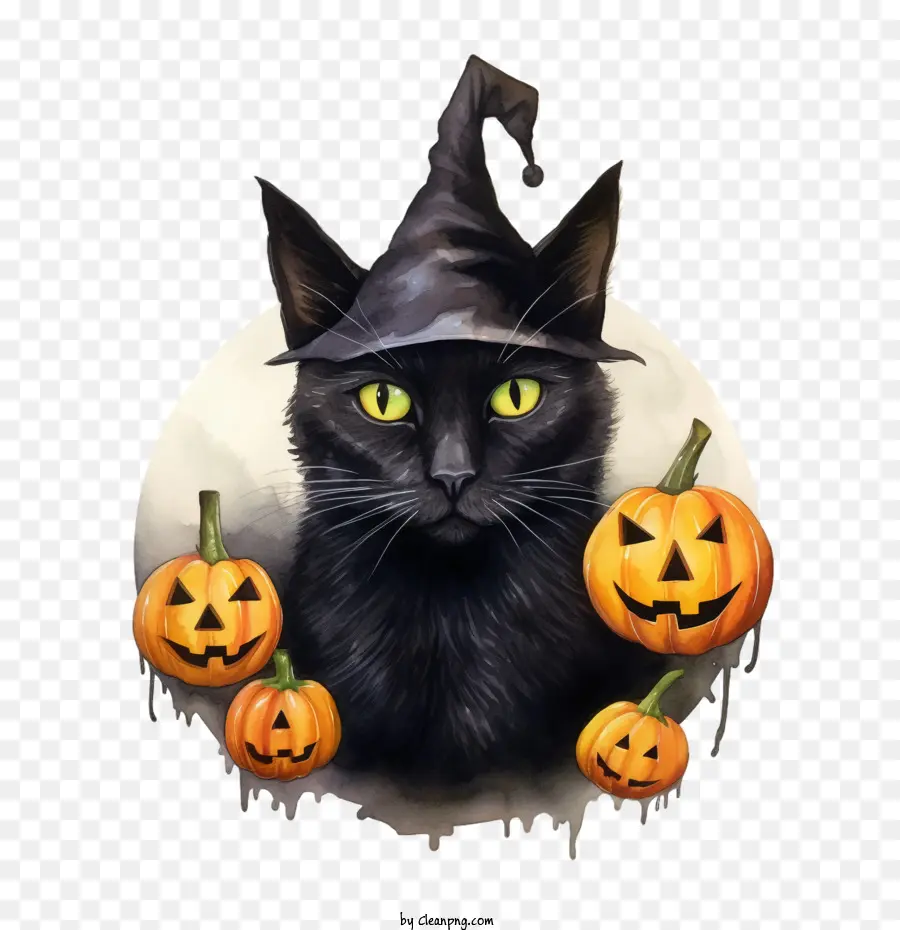 Halloween，Gato Negro PNG